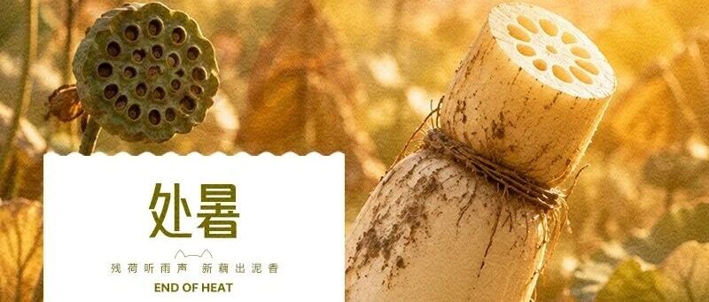 華興寵物